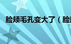 脸颊毛孔变大了（脸颊毛孔大还能缩小吗）