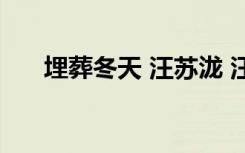 埋葬冬天 汪苏泷 汪苏泷埋葬冬天歌词