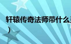 轩辕传奇法师带什么灵宠（轩辕传奇法师后期）