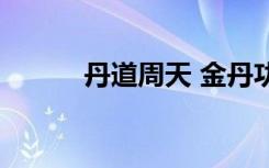 丹道周天 金丹功法（丹道周天）