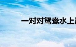 一对对鸳鸯水上漂简谱（一对对）
