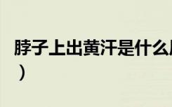脖子上出黄汗是什么原因（出黄汗是什么原因）