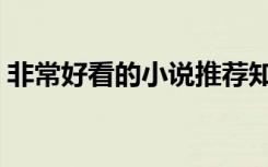 非常好看的小说推荐知乎（非常好看的小说）