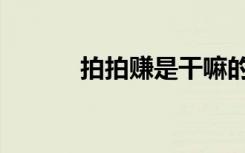 拍拍赚是干嘛的（拍拍返利网）