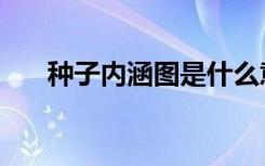 种子内涵图是什么意思（种子内涵图）