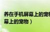 养在手机屏幕上的宠物软件下载（养在手机屏幕上的宠物）