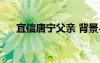 宜信唐宁父亲 背景与成就（宜信唐宁）
