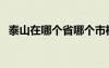 泰山在哪个省哪个市机票（泰山在哪个省）
