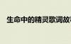 生命中的精灵歌词故事 生命中的精灵散文