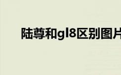 陆尊和gl8区别图片（陆尊和gl8区别）