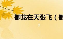 御龙在天张飞（御龙在天黑暗张角）