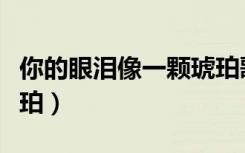 你的眼泪像一颗琥珀歌曲（你的眼泪像一颗琥珀）