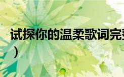 试探你的温柔歌词完整版（试探你的温柔歌词）