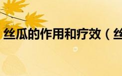 丝瓜的作用和疗效（丝瓜的功效与作用祛斑）