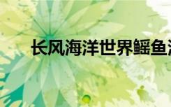 长风海洋世界鳐鱼湾（长风海洋世界）