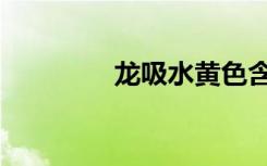 龙吸水黄色含义（龙吸水）
