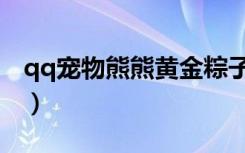 qq宠物熊熊黄金粽子怎样获得（qq宠物熊熊）