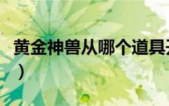 黄金神兽从哪个道具开出来（黄金神兽怎么开）