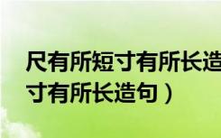 尺有所短寸有所长造句 写一段话（尺有所短寸有所长造句）