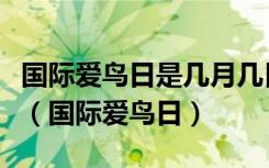 国际爱鸟日是几月几日今年的活动主题是什么（国际爱鸟日）