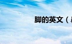 脚的英文（鼻子的英文）