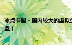 冰点卡盟 - 国内较大的虚拟生态自助服务平台网站!（冰点卡盟）