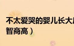 不太爱哭的婴儿长大后都乖吗（不爱哭的婴儿智商高）