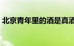 北京青年里的酒是真酒吗（北京青年里的酒）