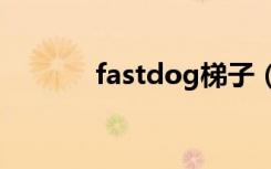 fastdog梯子（fastdomain）