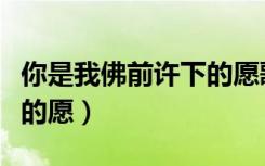 你是我佛前许下的愿歌曲（你是我在佛前许下的愿）