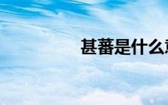 甚蕃是什么意思（甚蕃）