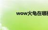 wow火龟在哪抓（wow火龟）