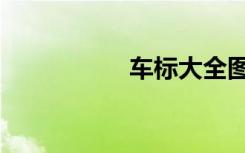 车标大全图片（车标）