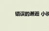 错误的邂逅 小说（错误的邂逅）
