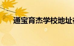 通宝育杰学校地址在哪里（通宝育杰）
