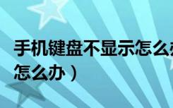 手机键盘不显示怎么办苹果（手机键盘不显示怎么办）