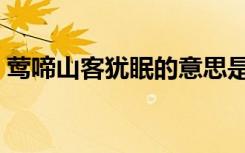 莺啼山客犹眠的意思是什么（莺啼山客犹眠）