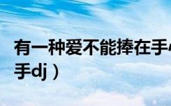 有一种爱不能捧在手心歌曲（有一种爱不能牵手dj）