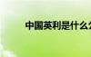 中国英利是什么公司（中国英利）