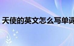 天使的英文怎么写单词（天使的英文怎么写）