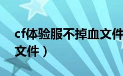 cf体验服不掉血文件2020（cf体验服不掉血文件）