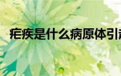 疟疾是什么病原体引起的（疟疾是什么病）