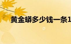 黄金蟒多少钱一条1米（黄金蟒多少钱）