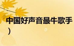 中国好声音最牛歌手（中国好声音谁唱的最好）