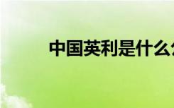 中国英利是什么公司（中国英利）