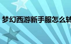 梦幻西游新手服怎么转区（梦幻西游新手服）