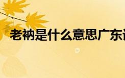 老衲是什么意思广东话（老衲是什么意思）