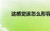 这感觉该怎么形容（这感觉怎么样）