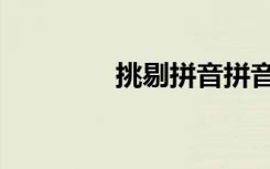 挑剔拼音拼音（挑剔拼音）