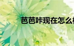 芭芭咔现在怎么样了（芭芭卡伦）